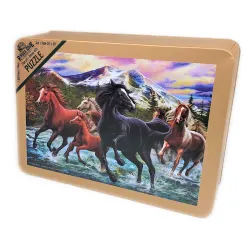 Black Stallion Friends Horse