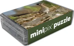 Greater Roadrunner MiniPix&reg; Puzzle Birds