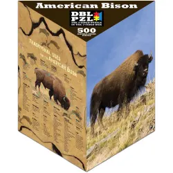 American Bison Animals