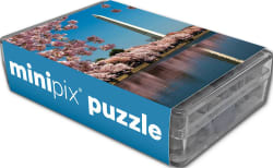 Washington Monument MiniPix&reg; Puzzle Landmarks & Monuments