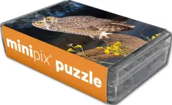 Great Horned Owl MiniPix&reg; Puzzle Birds