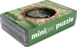 Elf Owl MiniPix&reg; Puzzle Birds