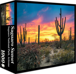 Saguaro Sunset Landscape