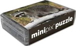 Common Raccoon Mini Puzzle Forest Animal