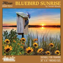 Bluebird Sunrise Birds