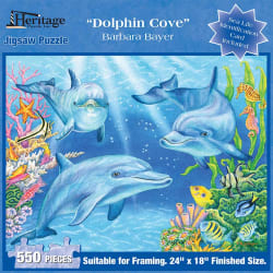 Dolphin Cove Dolphin