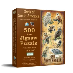 Owls of North America Birds
