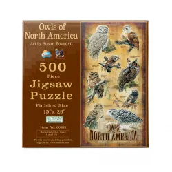 Owls of North America Birds