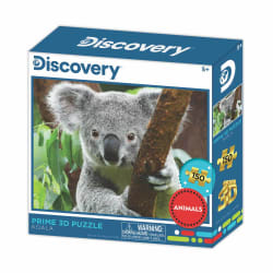 Koala - Discovery Animals