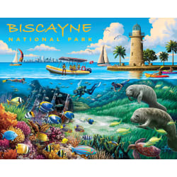 Biscayne National Park  National Parks