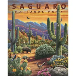 Saguaro National Park Flower & Garden