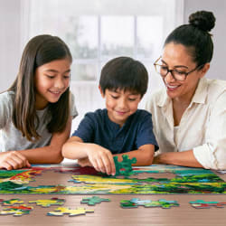 My Little Dragon Dragon