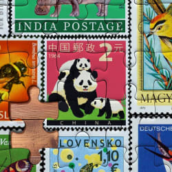 Snail Mail - Scratch and Dent Nostalgic & Retro