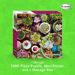 Succulents Flower & Garden