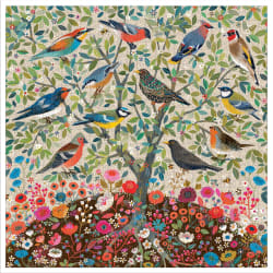 Songbirds Tree Birds
