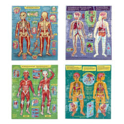 Ready to Learn- Human Anatomy 48Pc Set