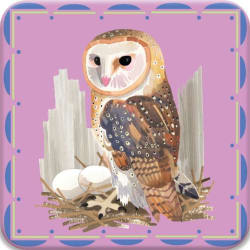 Birds Little Memory & Matching Game