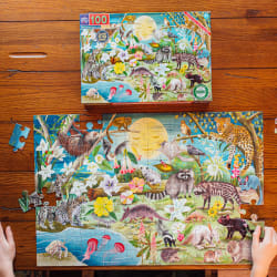 Love of Nocturnal Life Animals