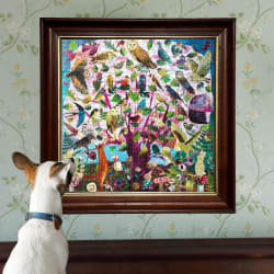 Parliament of Owls Birds