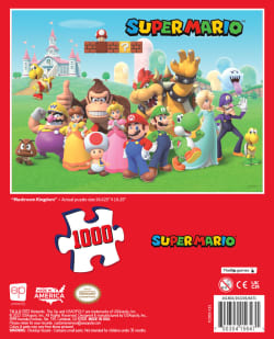 Super Mario Mushroom Kingdom Video Game