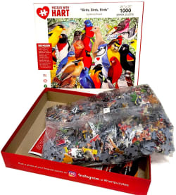 Cats, Cats, Cats Cats