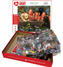 Puppies at Play Dogs