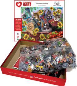 Sunflower Kittens Cats