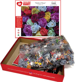 Palette of Roses Flower & Garden