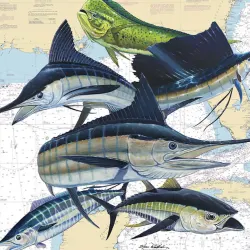 Gulf Slam Offshore Maps & Geography