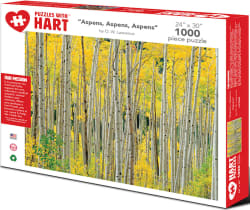 Aspens, Aspens, Aspens Forest