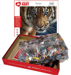 Blue Eyes Tiger&nbsp; Big Cats