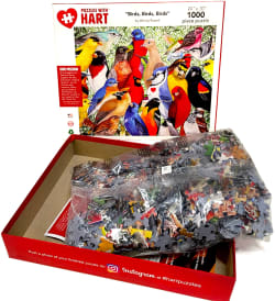 Birds, Birds, Birds Birds