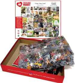 Cute, Cute, Cute Animals