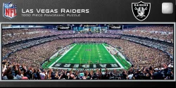 Las Vegas Raiders NFL - End Zone Sports