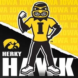 Iowa Hawkeyes NCAA Mascot Sports