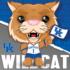 Kentucky Wildcats NCAA Mascot Sports Jigsaw Puzzle