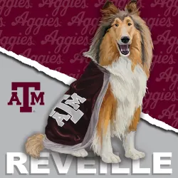 Texas A&M Aggies NCAA Mascot  Sports