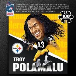 Pittsburgh Steelers NFL All-Time Greats - Troy Polamalu Sports