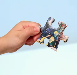 Grand Canyon National Park Forest Animal