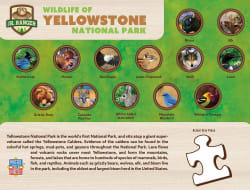 Yellowstone National Park - Scratch and Dent Forest Animal