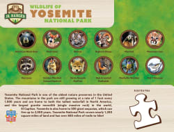 Yosemite National Park Forest Animal