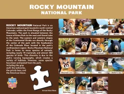 Rocky Mountain National Park Animals