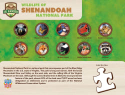 Shenandoah National Park Animals