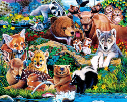 World of Animals Animals