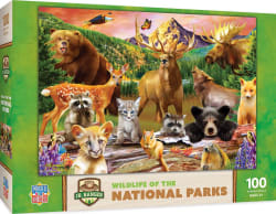 Wildlife of the National Parks Forest Animal