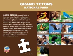 Wildlife of Grand Teton National Park Jr. Ranger Forest Animal