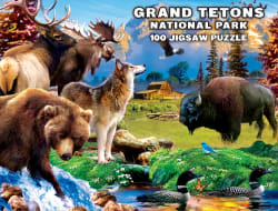 Wildlife of Grand Teton National Park Jr. Ranger Forest Animal