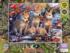 The Young Pack Wolf Jigsaw Puzzle