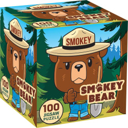 Smokey Bear Pop Culture Cartoon