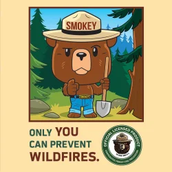 Smokey Bear Pop Culture Cartoon